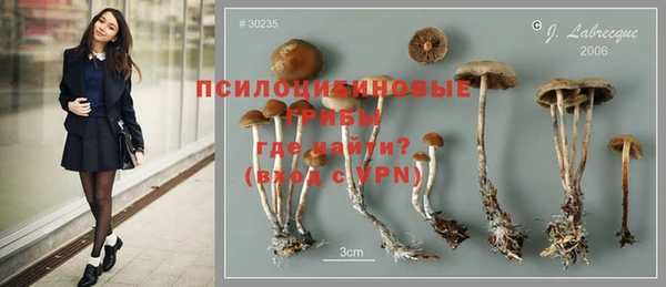 гидра Карталы